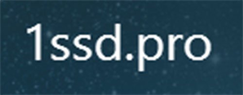 Логотип 1ssd.pro