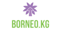 Логотип Borneo.kg