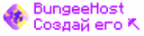 Логотип Bungee.host