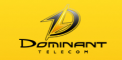 Логотип Dominant.ua