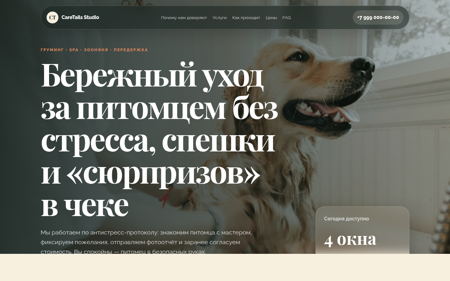 CareTails Studio — антистресс-уход за животными — превью