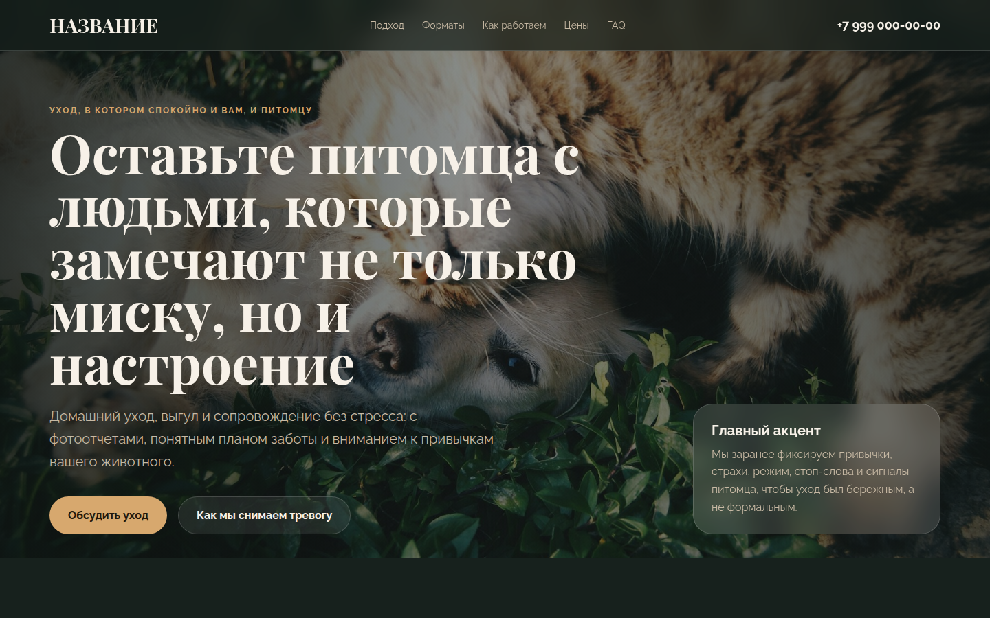 Заботливый уход за животными — превью